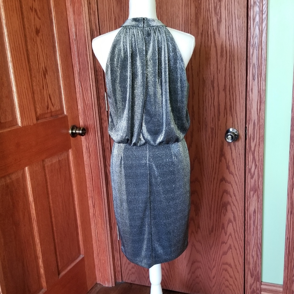 NWT Bloused Cocktail Dress - Picture 3 of 9